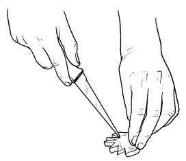 Иллюстрация к книге — Оригинальные украшения из овощей и фруктов [i_071.jpg]