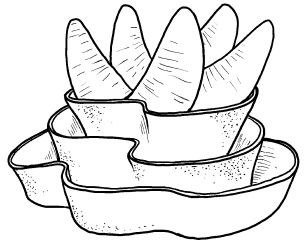 Иллюстрация к книге — Оригинальные украшения из овощей и фруктов [i_084.jpg]
