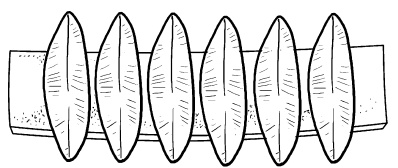 Иллюстрация к книге — Оригинальные украшения из овощей и фруктов [i_087.jpg]