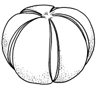 Иллюстрация к книге — Оригинальные украшения из овощей и фруктов [i_093.jpg]