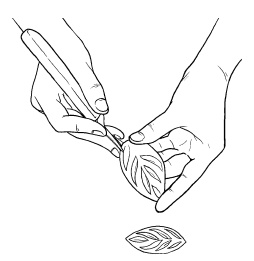 Иллюстрация к книге — Оригинальные украшения из овощей и фруктов [i_097.jpg]