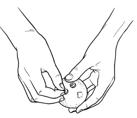 Иллюстрация к книге — Оригинальные украшения из овощей и фруктов [i_101.jpg]