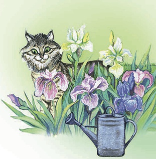 Иллюстрация к книге — Необыкновенные приключения кошки Нюси. Домовой и тайна волшебной книги [i_012.jpg]