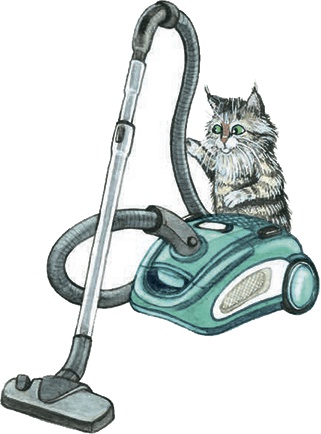 Иллюстрация к книге — Необыкновенные приключения кошки Нюси. Домовой и тайна волшебной книги [i_016.jpg]