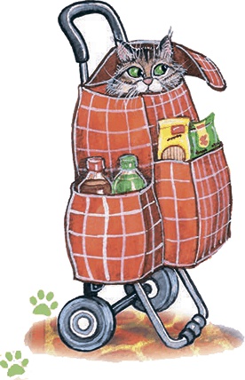 Иллюстрация к книге — Необыкновенные приключения кошки Нюси. Домовой и тайна волшебной книги [i_022.jpg]