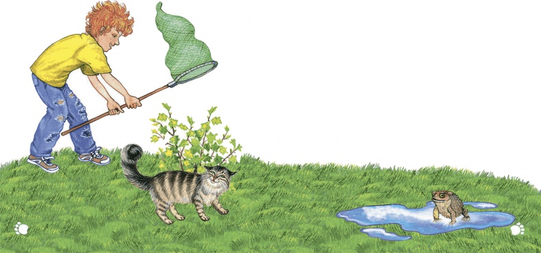 Иллюстрация к книге — Необыкновенные приключения кошки Нюси. Домовой и тайна волшебной книги [i_024.jpg]