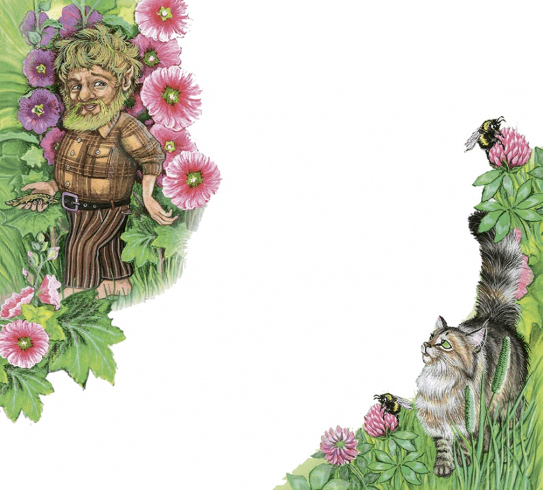 Иллюстрация к книге — Необыкновенные приключения кошки Нюси. Домовой и тайна волшебной книги [i_033.jpg]