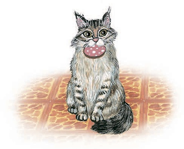 Иллюстрация к книге — Необыкновенные приключения кошки Нюси. Домовой и тайна волшебной книги [i_042.jpg]