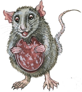 Иллюстрация к книге — Необыкновенные приключения кошки Нюси. Домовой и тайна волшебной книги [i_043.jpg]