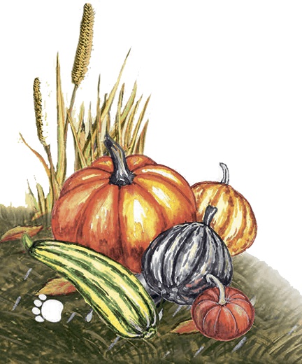 Иллюстрация к книге — Необыкновенные приключения кошки Нюси. Домовой и тайна волшебной книги [i_063.jpg]