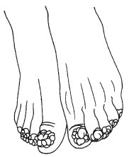 Иллюстрация к книге — Эксклюзивный маникюр и педикюр [i_003.jpg]