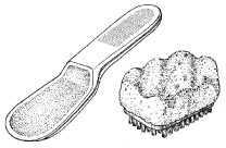 Иллюстрация к книге — Эксклюзивный маникюр и педикюр [i_005.jpg]