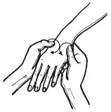 Иллюстрация к книге — Эксклюзивный маникюр и педикюр [i_016.jpg]