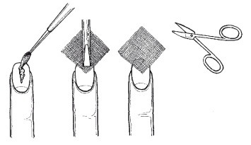 Иллюстрация к книге — Эксклюзивный маникюр и педикюр [i_032.jpg]