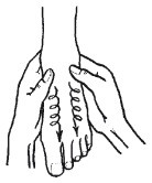 Иллюстрация к книге — Эксклюзивный маникюр и педикюр [i_046.jpg]