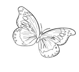 Иллюстрация к книге — Игра в Иную Реальность. Книга Знаний [i_022.jpg]