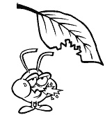 Иллюстрация к книге — Огород и сад без хлопот и затрат [i_008.jpg]