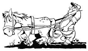 Иллюстрация к книге — Огород и сад без хлопот и затрат [i_011.jpg]