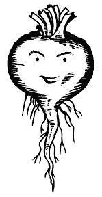 Иллюстрация к книге — Огород и сад без хлопот и затрат [i_016.jpg]