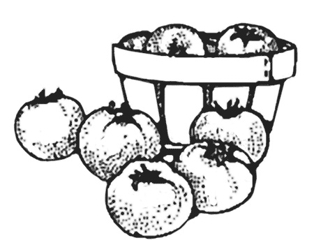 Иллюстрация к книге — Антикризисная кухня. Дешево и вкусно [i_005.jpg]