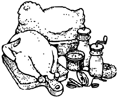 Иллюстрация к книге — Блюда из птицы [i_004.jpg]