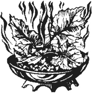 Иллюстрация к книге — Лучшие народные лекарства [i_005.jpg]