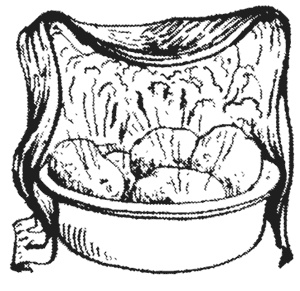 Иллюстрация к книге — Лучшие народные лекарства [i_007.jpg]