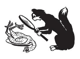 Иллюстрация к книге — Хозяйке на заметку [i_001.jpg]