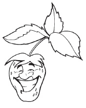 Иллюстрация к книге — Ягоды и фрукты. Заготовки по-деревенски [i_010.jpg]