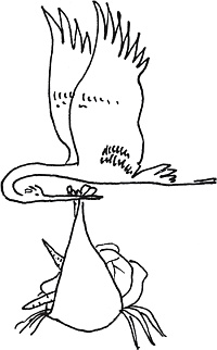 Иллюстрация к книге — Домашние рецепты просто и вкусно [i_020.jpg]