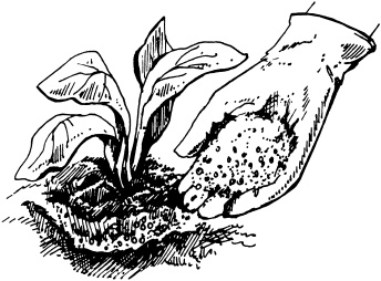 Иллюстрация к книге — Большая энциклопедия дачника [_03.jpg]