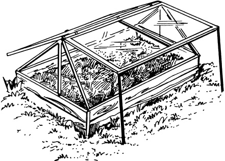 Иллюстрация к книге — Большая энциклопедия дачника [_11.jpg]