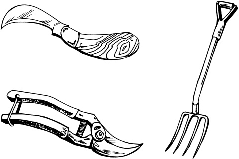 Иллюстрация к книге — Большая энциклопедия дачника [_14.jpg]