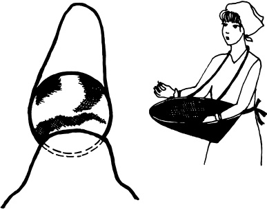 Иллюстрация к книге — Большая энциклопедия дачника [_24.jpg]