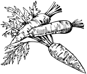 Иллюстрация к книге — Большая энциклопедия дачника [_35.jpg]