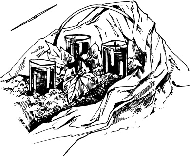 Иллюстрация к книге — Большая энциклопедия дачника [_39.jpg]