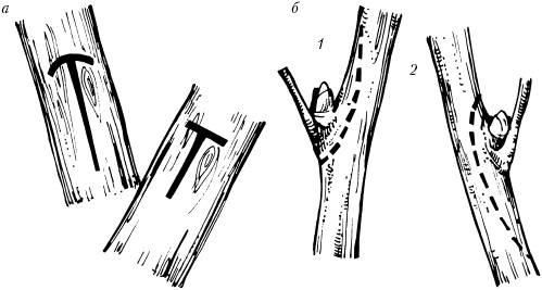 Иллюстрация к книге — Большая энциклопедия дачника [_52.jpg]