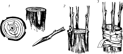 Иллюстрация к книге — Большая энциклопедия дачника [_59.jpg]