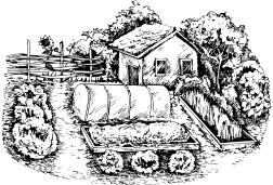 Иллюстрация к книге — Большая энциклопедия дачника [_80.jpg]