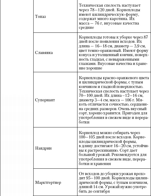 Иллюстрация к книге — Большая энциклопедия дачника [_t13_4.jpg]