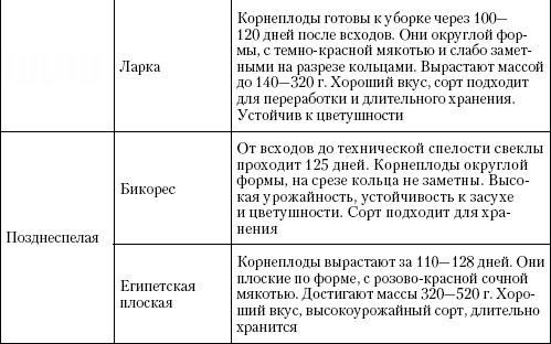 Иллюстрация к книге — Большая энциклопедия дачника [_t14_3.jpg]