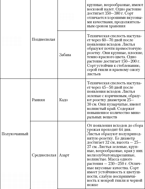 Иллюстрация к книге — Большая энциклопедия дачника [_t31_2.jpg]