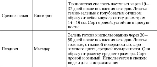 Иллюстрация к книге — Большая энциклопедия дачника [_t32_2.jpg]