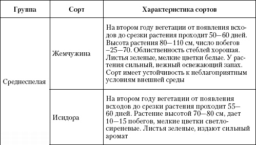 Иллюстрация к книге — Большая энциклопедия дачника [_t37_1.jpg]
