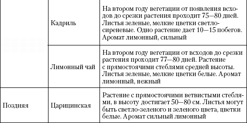 Иллюстрация к книге — Большая энциклопедия дачника [_t37_2.jpg]