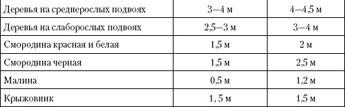 Иллюстрация к книге — Большая энциклопедия дачника [_t38_2.jpg]
