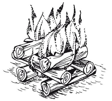 Иллюстрация к книге — Классная энциклопедия для мальчиков. Отличные советы, как быть лучшим во всем! [i_030.jpg]