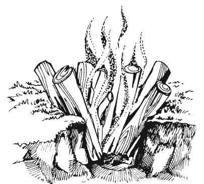 Иллюстрация к книге — Классная энциклопедия для мальчиков. Отличные советы, как быть лучшим во всем! [i_034.jpg]