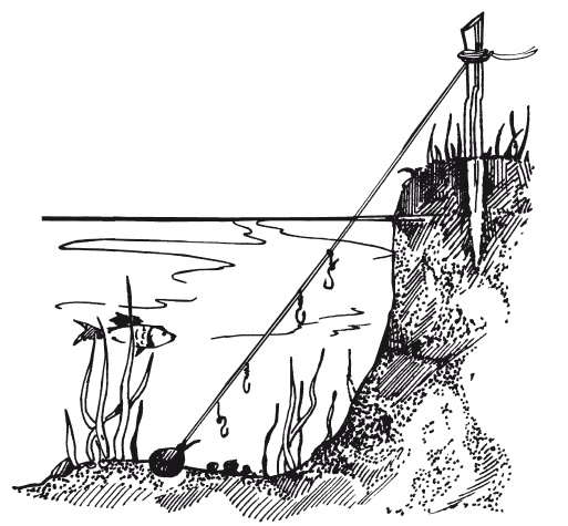 Иллюстрация к книге — Классная энциклопедия для мальчиков. Отличные советы, как быть лучшим во всем! [i_050.jpg]