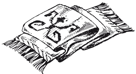 Иллюстрация к книге — Классная энциклопедия для девочек. Отличные советы как быть лучшей во всем! [i_042.jpg]